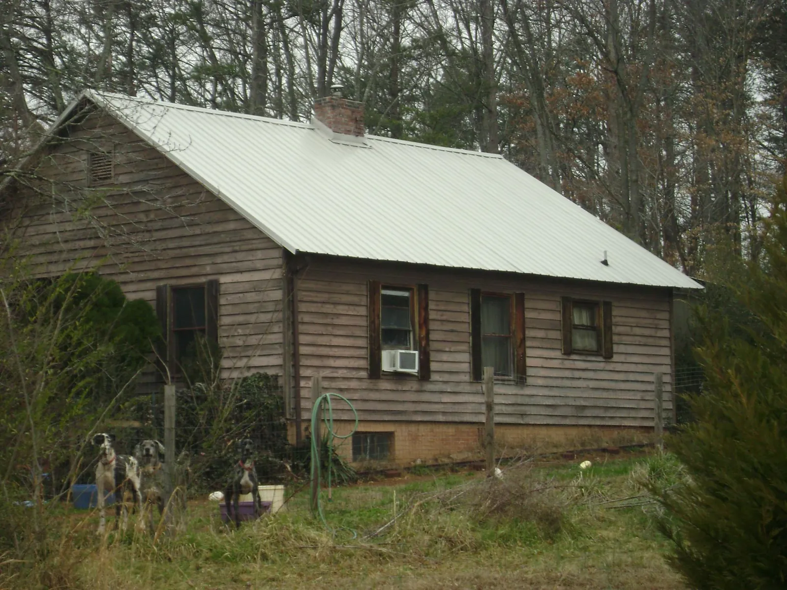 White metal roof on an old wood sided farmhouse, from a Asphalt Shingle Roof Repair job in Criders